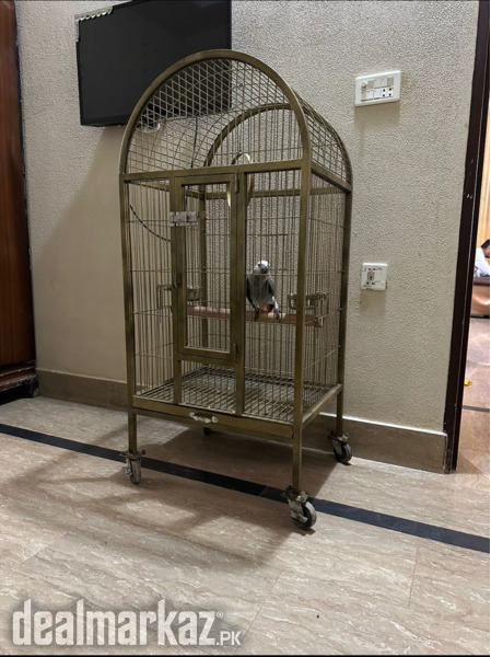 Extra Large parrot cage for large size bird or Grey Parrot - 144908 ...