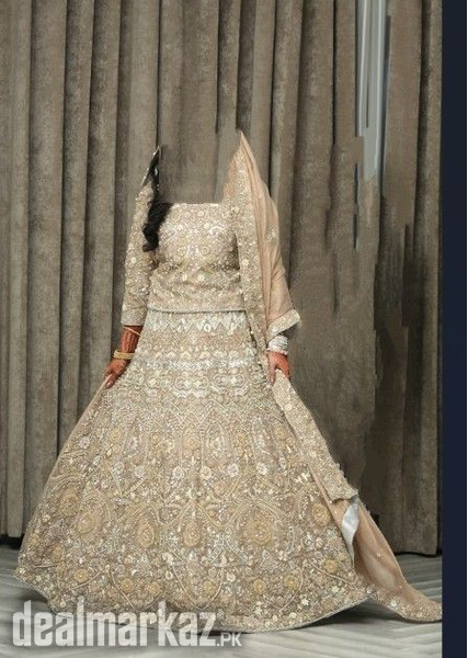 Beautiful Mehndi Bridal Dress, Pakistani Bridal Mehendi Dress, Reception  Lehenga Choli, Walima Dress, Reception Dress - Etsy